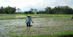 photo mont batur a Bali